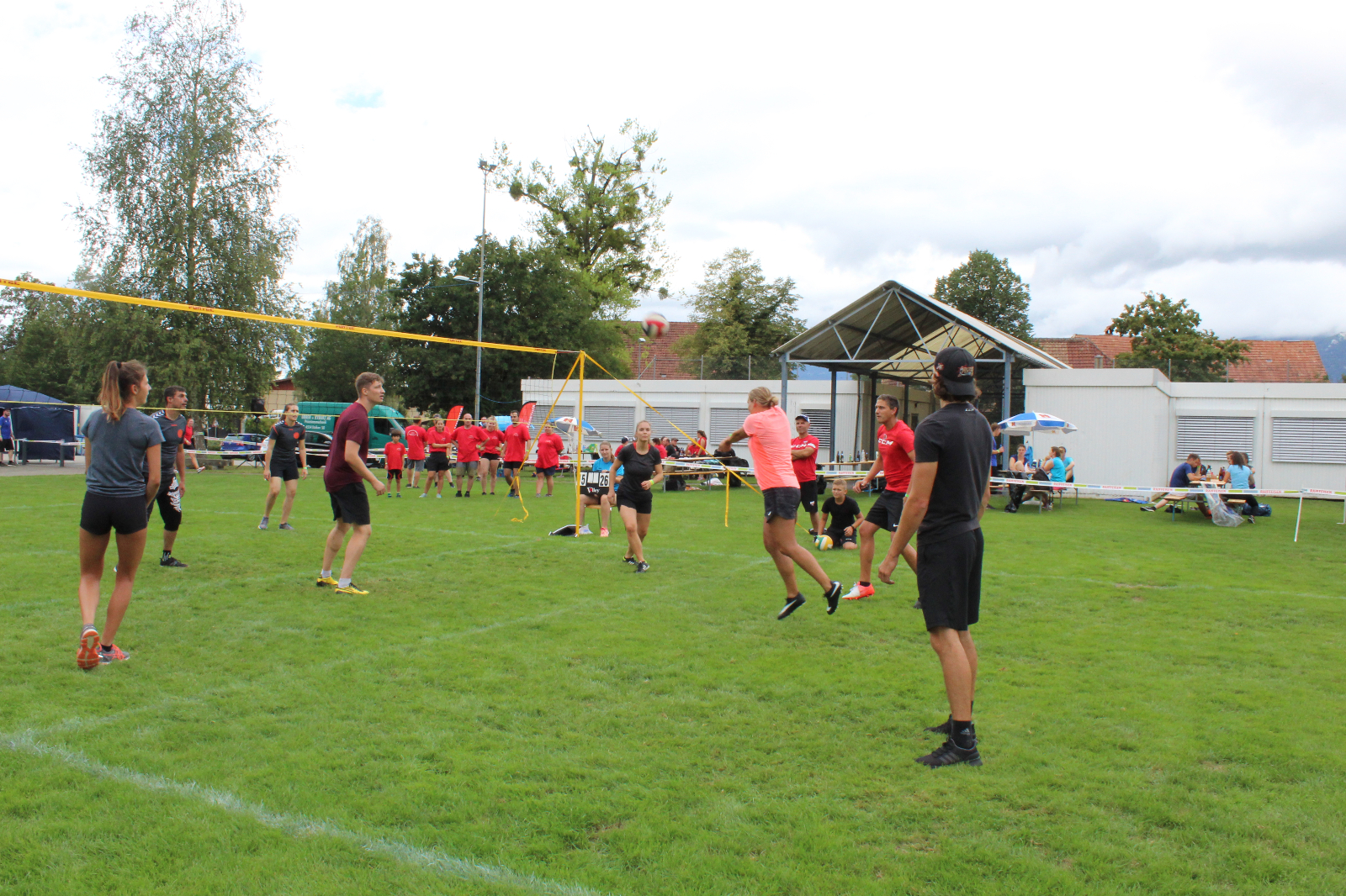 Volley  (71)